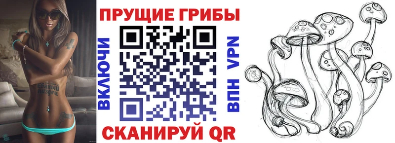 Купить  Абинск  Псилоцибиновые грибы GOLDEN TEACHER 